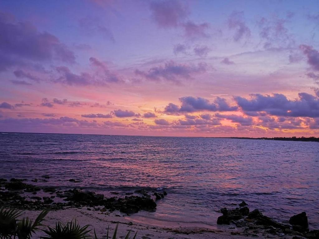 Tulsayab Luxury Development Appartement Tulum Pueblo Buitenkant foto