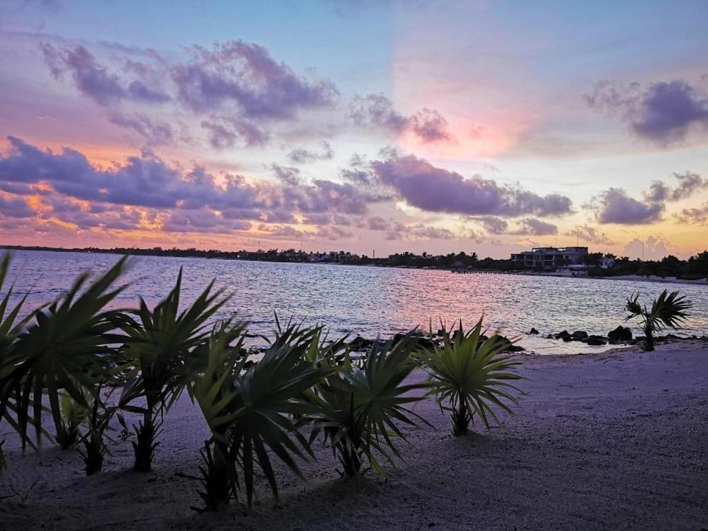 Tulsayab Luxury Development Appartement Tulum Pueblo Buitenkant foto